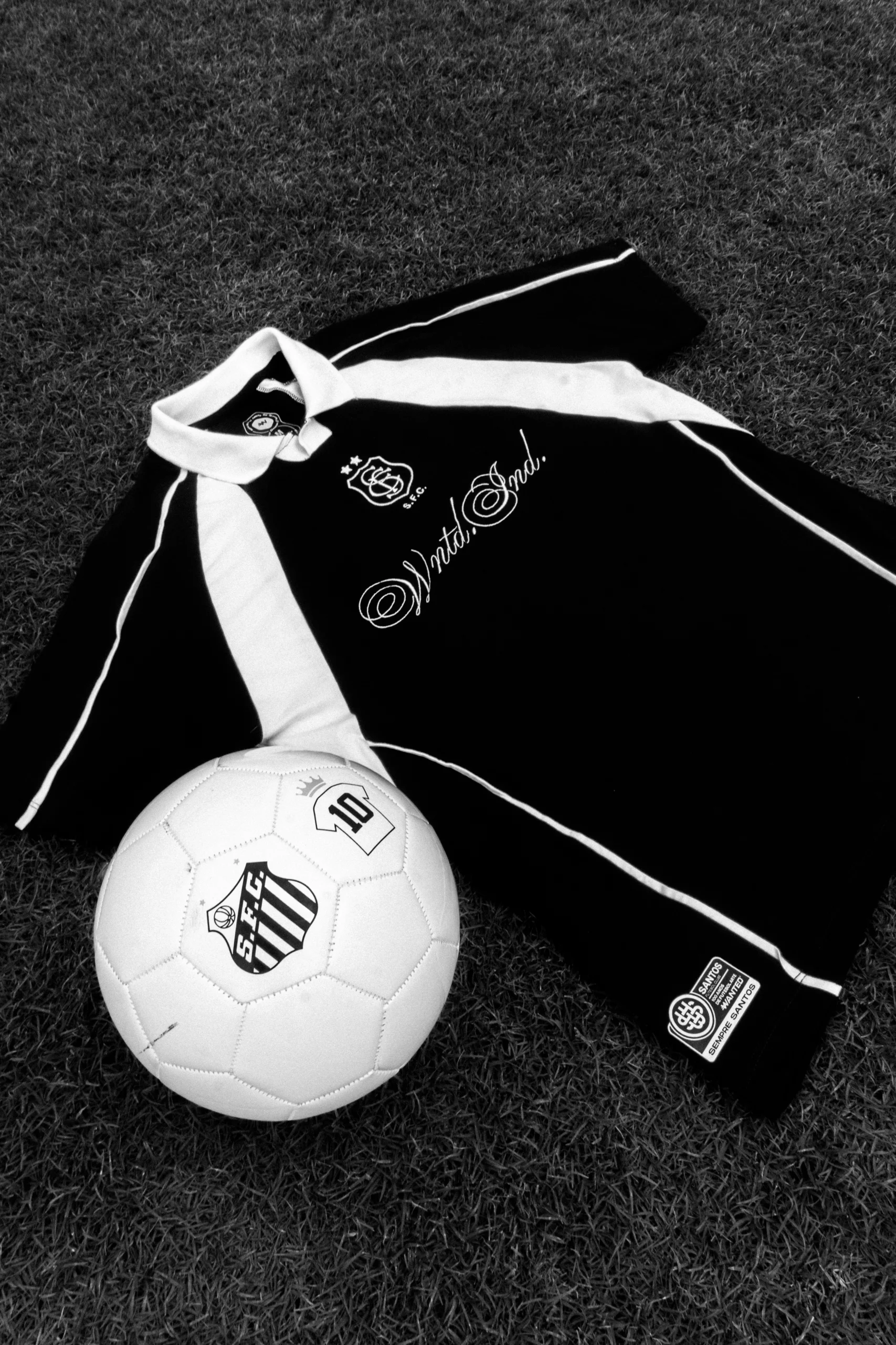 Cópia-de-Cópia-de-DSC02966