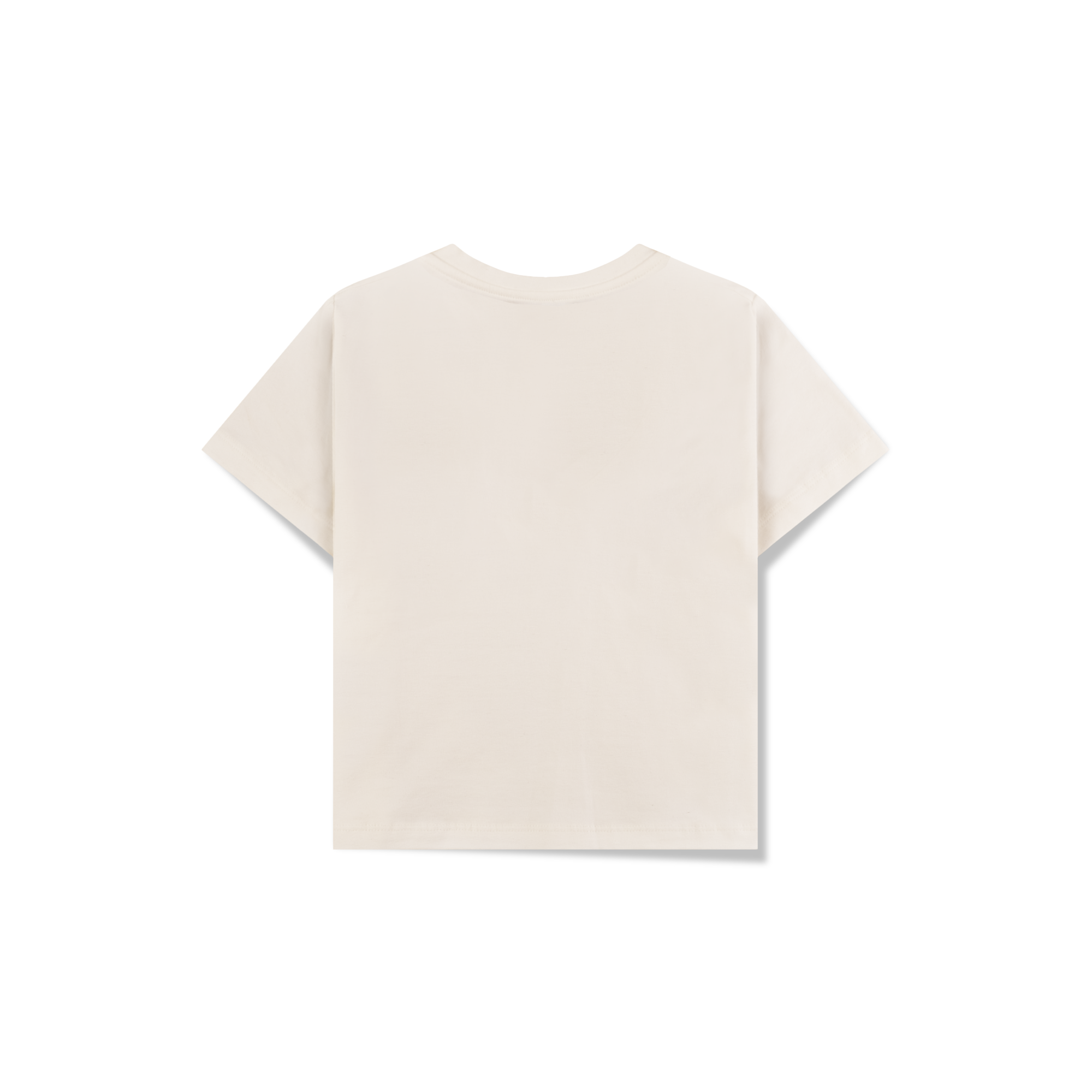 Top – The biggest in the world - Image 3