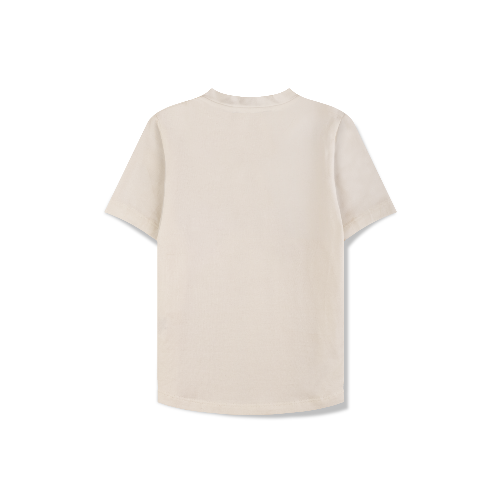 Top – Champion so many times - Image 5