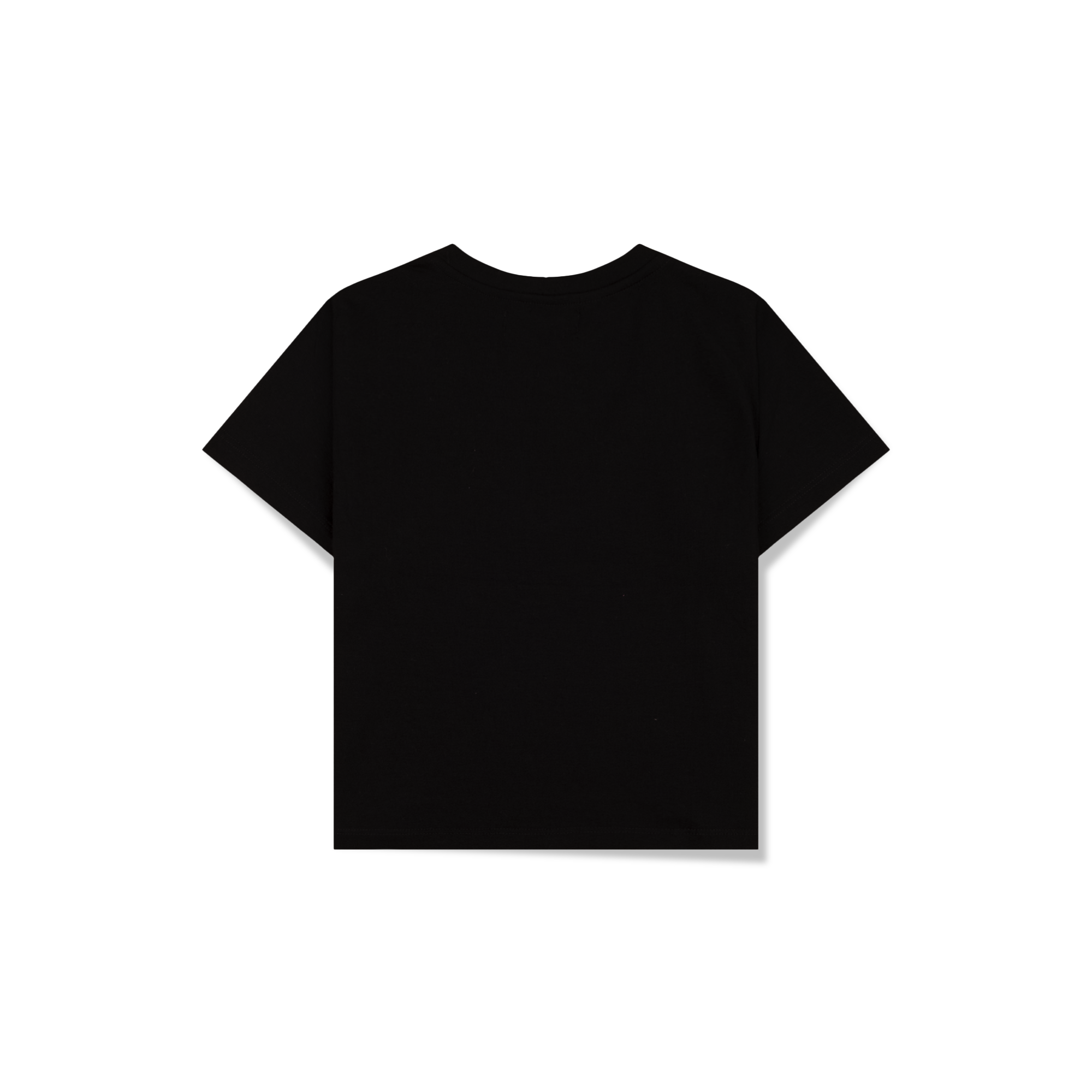Top – The biggest in the world - Image 5